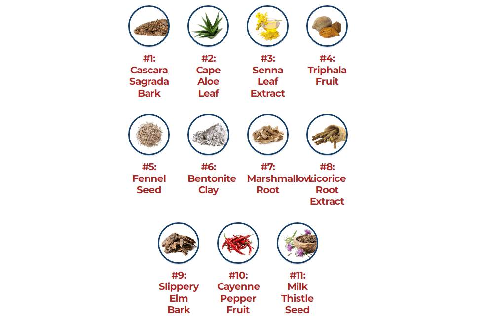 Key ingredients of BellyFlush dietary supplement with natural detox and cleanse herbs that support gut and colon health, reduce occasional bloating, and help relieve digestive problems and constipation.